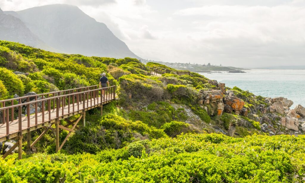 December program to South Africa for Qatari Women - Jadayel Tourism (5)