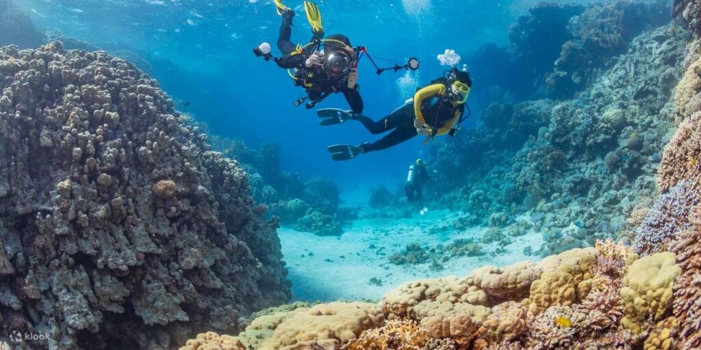 September program to Egypt for Qatari Women - Jadayel Tourism (2)